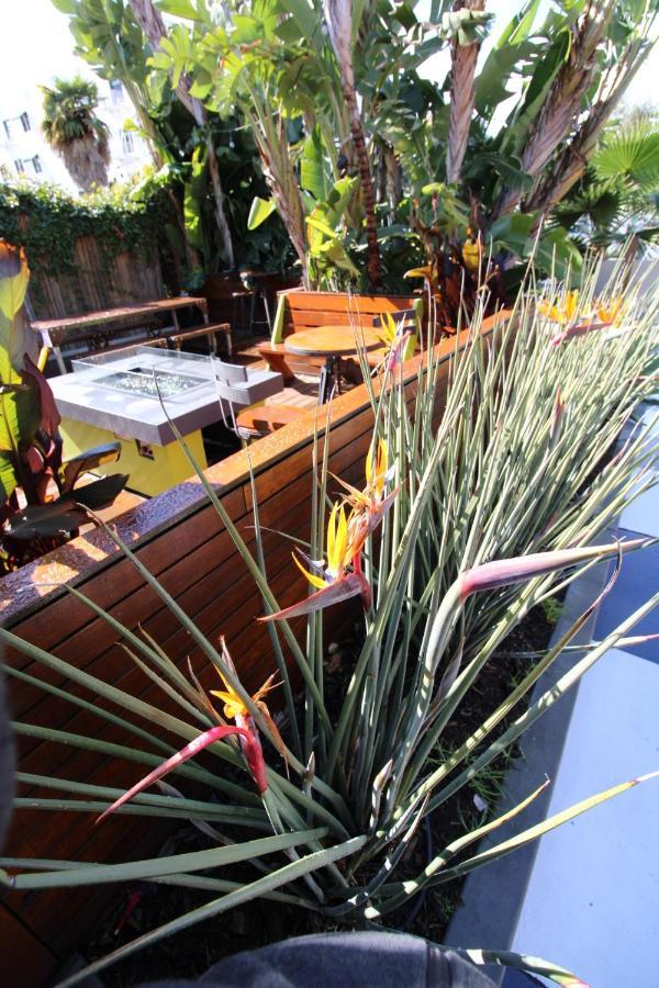 Haley Hotel Santa Barbara Bagian luar foto
